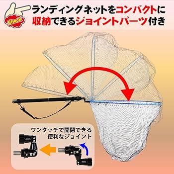 DAIWA - ランディングネット Amazon | ダイワ(DAIWA) ランディングネット シーバス モアザン